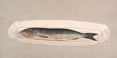 Fish on the White Dish